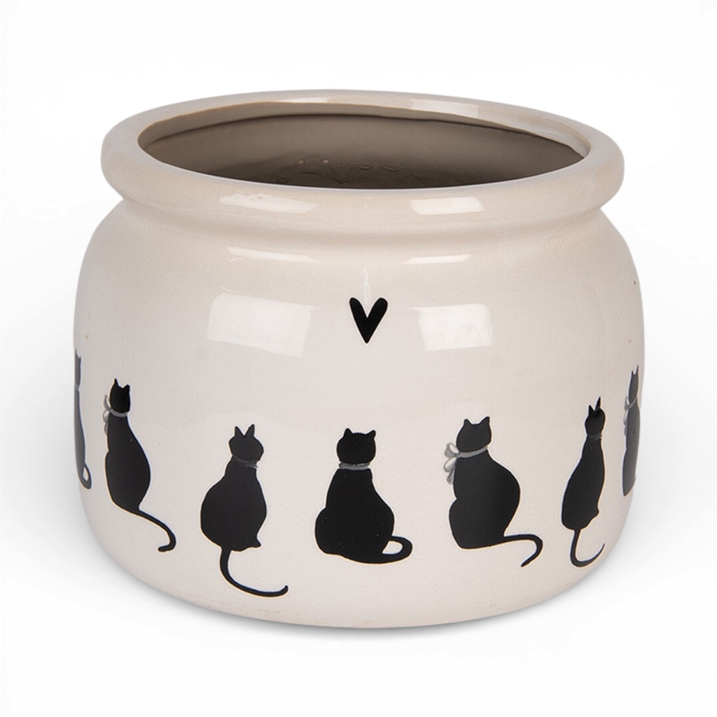 Vaso piccolo per piante gatti Ø 12x10 cm