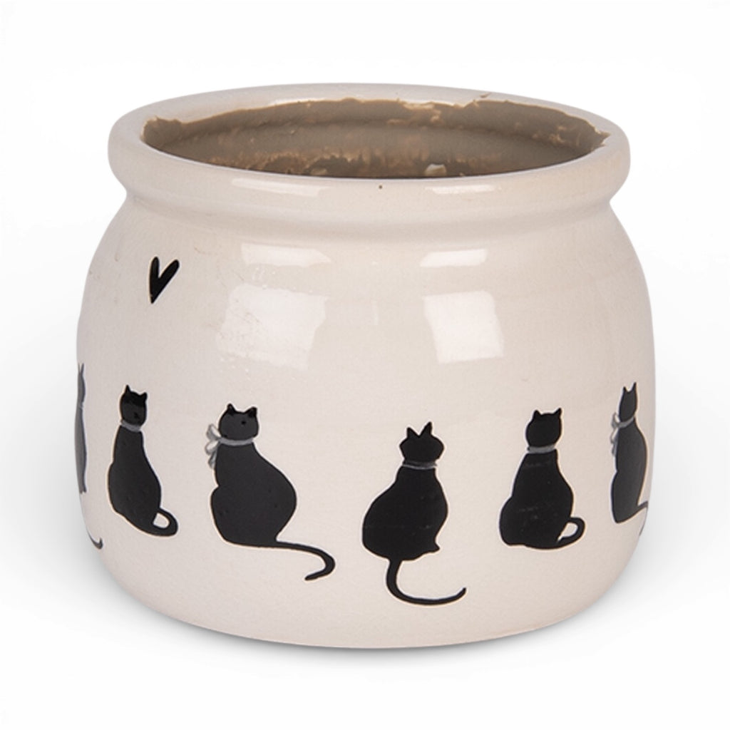 Vaso piccolo per piante gatti Ø 12x10 cm
