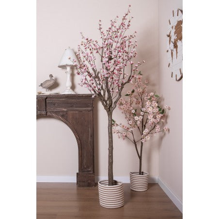 Cesto per riporre scelta tra 3 dimensioni Ø 26 Ø 24 Ø 19 cm Beige Marrone Zostera