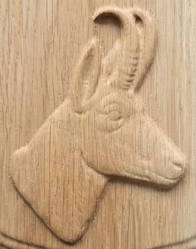 chamois