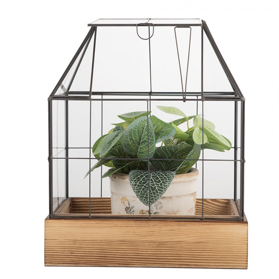 wood and plant