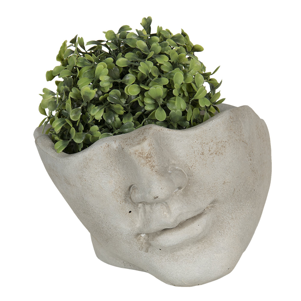 Pot for green plants